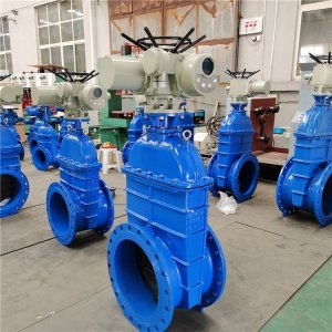 電動(dòng)閘閥Z941h -64 DN500（石化行業(yè)、煉油廠