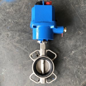 dn80電動(dòng)中線(xiàn)對(duì)夾軟密封蝶閥