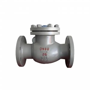 DN50 PN25 介質(zhì)：甲胺，溫度：80℃止回閥
